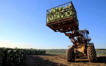 Урожай цифр сельской России Урожай цифр сельской России