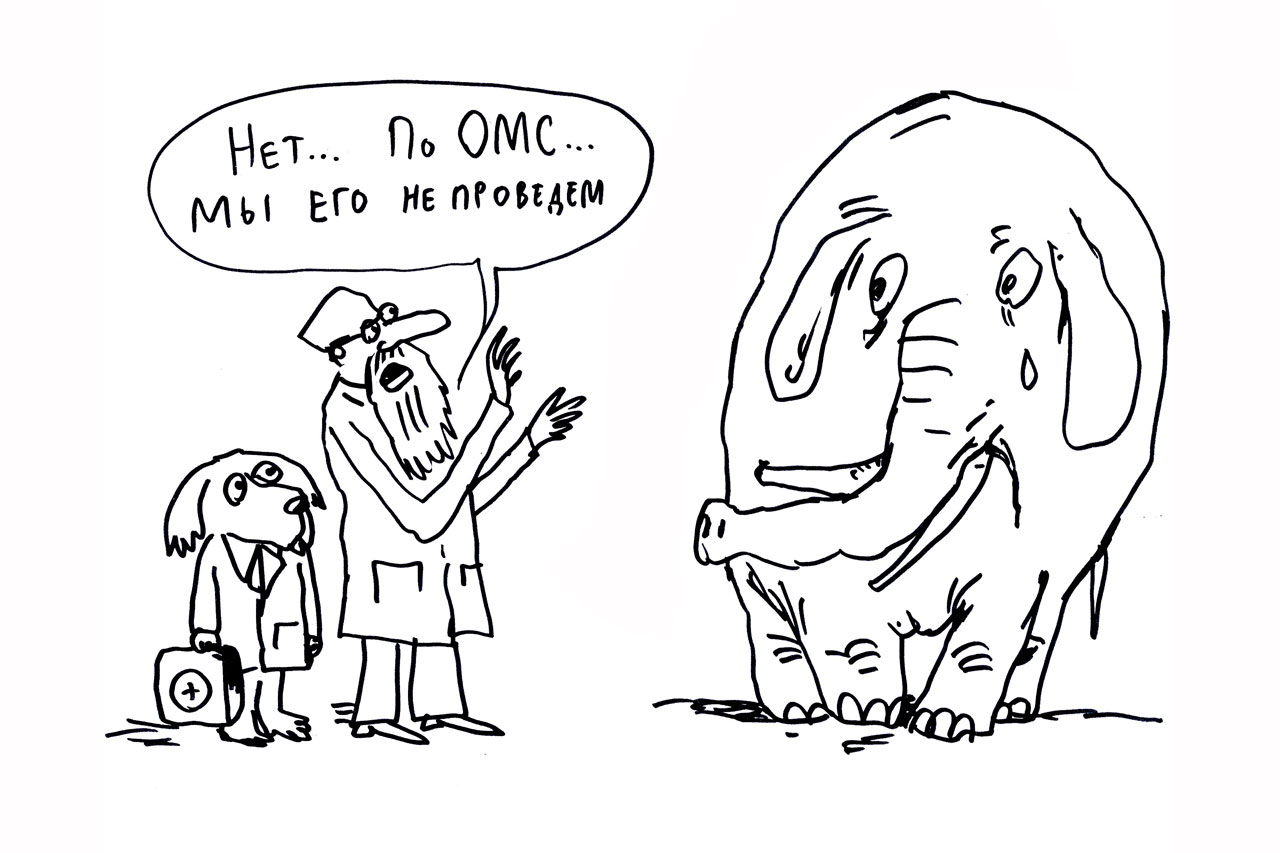 Семь шапок из шкуры ОМС