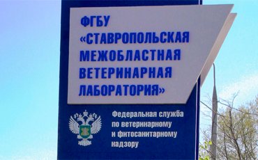 Бессрочный карантин
