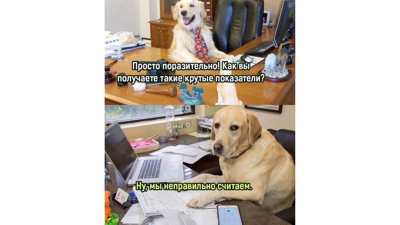 B - что нужно делать, чтобы заполучить таких?