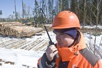 Работник одного из участков лесозаготовки СЛПК