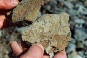 «Горно-взрывной» менеджмент: управленцев в углепроме сделают образованными