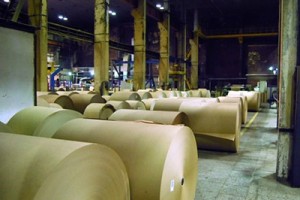 Сегежский ЦБК вошел в рабочий график