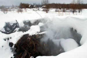 Чтобы добровольно тушить пожары нужно будет нанять бухгалтера