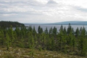 Более половины россиян против переноса столицы