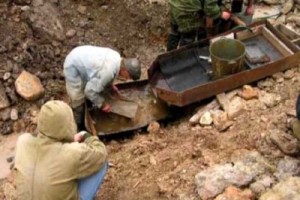 Золотодобытчиков лишили премии за участие в голодовке