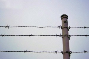 Медикам ЗАТО Североморск снизили зарплаты