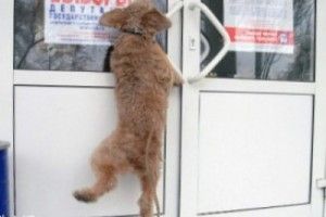 Сенаторы прокатили закон о едином дне голосования