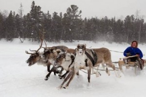 Прокуратура Северодвинска предписала выплачивать зарплату по схеме МРОТ + «северные»