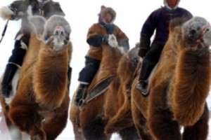 Русский язык будущим инженерам и специалистам знать не обязательно