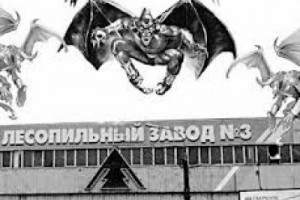 Архангельские «лесники» просят Путина о помощи