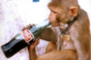 Немецкие пищевики за сохранение рабочих мест и зарплаты