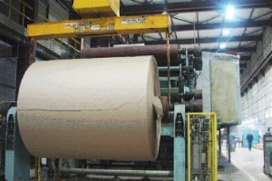 ЦБК "Кама" находится в простое почти год