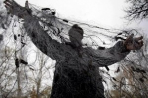 Иностранных браконьеров «возьмут в залог»