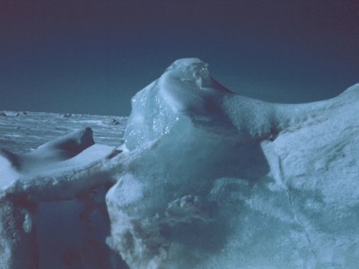 Протестующих на Уолл-Стрит согреют профсоюзы