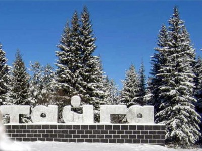 Председатель горкома профсоюза стала мэром города