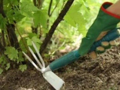 Майские каникулы удлинили