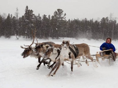 Прокуратура Северодвинска предписала выплачивать зарплату по схеме МРОТ + «северные»