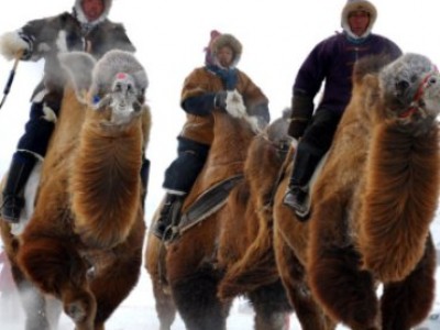 Русский язык будущим инженерам и специалистам знать не обязательно Русский язык будущим инженерам и специалистам знать не обязательно