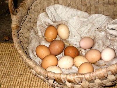 В Израиле началась «яичная забастовка»