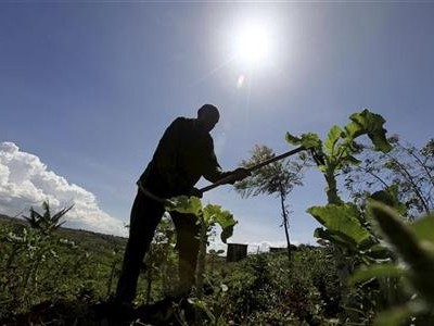 Африканские фермеры призывают бастовать