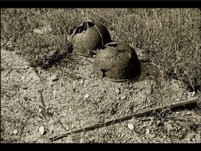 Сведения о погибших в ВОВ внесут в специальную базу данных