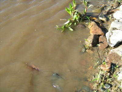 12 июля - день траура в память о погибших на теплоходе «Булгария»