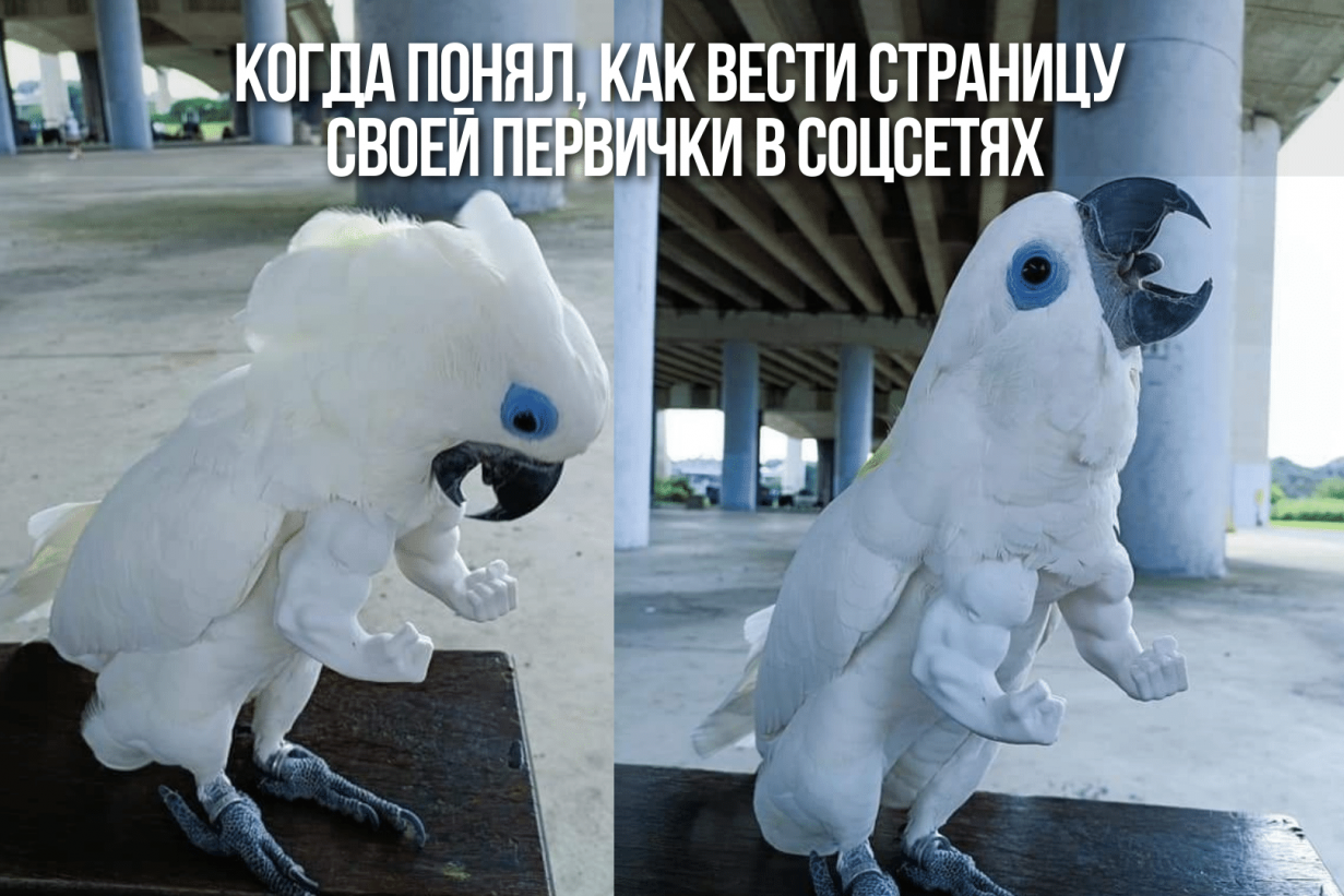 Подкаст #16: Зачем профсоюзам соцсети? Подкаст #16: Зачем профсоюзам соцсети?