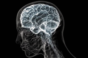 Логопедические и сантехнические услуги