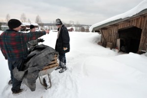 Землю для инвалидов сделают доступней