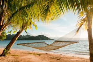 Вакансии мечты