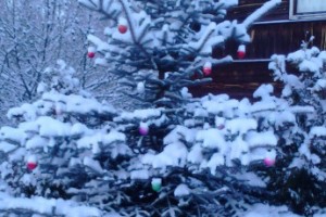 Россияне с меньшей зарплатой больше рады новогодним каникулам