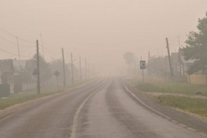 За лесами вновь присмотрят регионы?