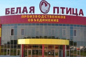 Уперлись в директорский корпус