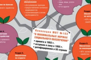 Конвенция МОТ о минимальном соцобеспечении одобрена Думой во втором чтении