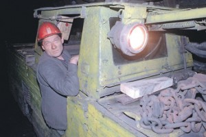 Бесплатный год