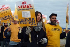 Что значит быть органайзером