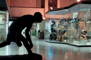 Учреждениям культуры ослабят налоги