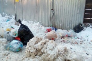 Для предотвращения мусорного коллапса в бюджете зарезервируют 12 млрд рублей