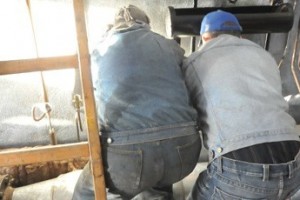 Долги есть, директора нет...