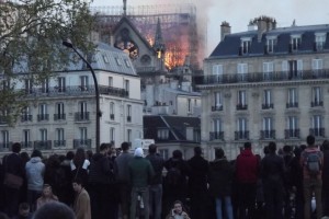 Лидер французских профсоюзов: из-за пожара в Нотр-Дам Макрон не ответил «желтым жилетам»