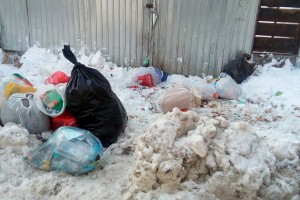 Медведев разрешил снижать мусорные тарифы