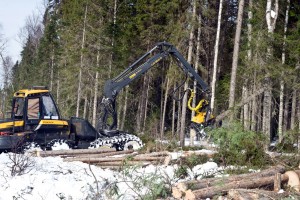 Когда можно рассчитывать на компенсационные выплаты