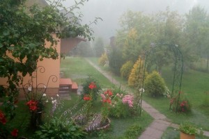 Дачникам продлят амнистию