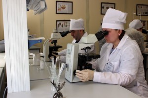 Конкурс для Айболитов