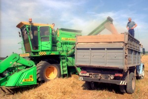 Разночтения в индексации