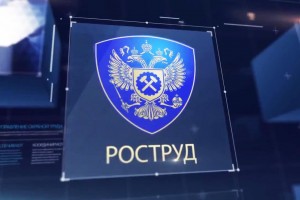 О задачах и полномочиях Федеральной инспекции труда