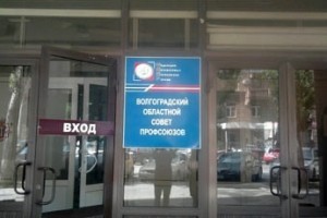 Пчелы против исполкома