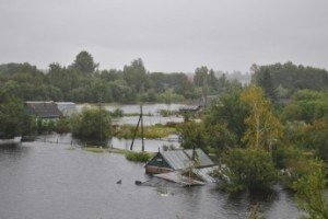 Приморские профсоюзы добиваются изменения законодательства об агростраховании