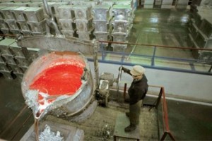 БАЗ поддержат всей областью